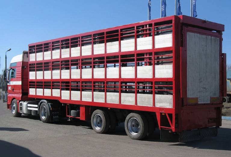 Сколько стоит транспортировать крупный рогатый скота недорого из Россия, Новохоперск в Турция, Стамбул